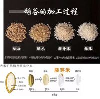 广茂恒鲜米坊！掀起舌尖的革命！