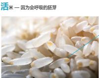 广茂恒鲜米坊！掀起舌尖的革命！