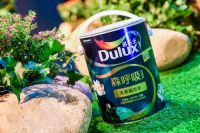 阿克苏诺贝尔中国及北亚区总裁郭振华：全新角色 多彩开始