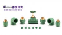 2019年五大PPR水管名单出炉 资深水工师傅倾情推荐