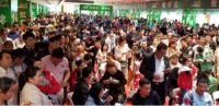 兔宝宝品牌日消费升级、体验升级，再创奇迹！