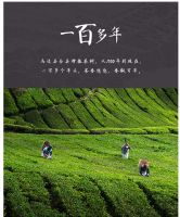 居家必备：边凤茶苏宁众筹火热进行中！