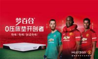强强联合 | 大卫地板携手Mlily梦百合共启巅峰盛惠