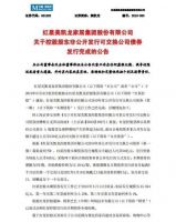 阿里全额认购红星44亿债券，将跃升第二大股东 | 前线