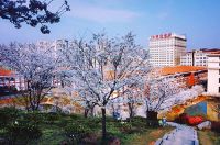 晚安家居2019年消费者行为调查问卷发布