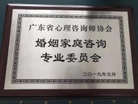 广东婚姻家庭咨询专委会成立，花镇等专业机构鼎力支持