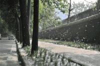 好物抢先知：为什么有了扫地机还有人买吸尘器？