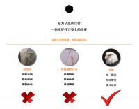 珠三角家居界璀璨明珠——名雕生态家居产业园