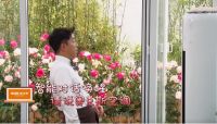 奥克斯空调化身“惊喜嘉宾”造访《忘不了餐厅》