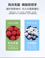 风冷还是直冷？热门苏宁小Biu冰箱值得买吗？一文揽尽重点