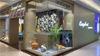 34个省500多家专卖店，可罗雅“最美之家”全国联动