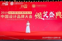 法视界荣获2019中国设计品牌大会年度行业典范品牌