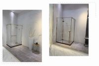 德莉玛陈胜华：多方发力，与经销商共发展