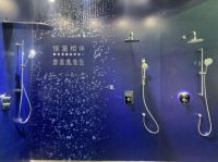 帝朗卫浴李方荣：专注深耕卫浴五金行业，重新定义卫浴色彩