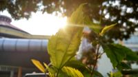 盛夏时节，这些夏季装修的好处你知道吗？