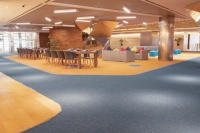 历史与未来——Tuntex Carpet(东帝士地毯)50周年庆