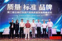 第二届古镇灯饰源产地高质量发展高峰论坛成功举办