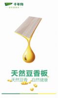 20年初心不改，千年舟无醛系列助力绿色人居