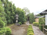 设计师冯国涛：与自然共处，观日本枯山水有感