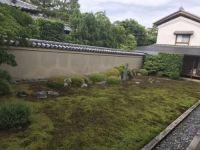 设计师冯国涛：与自然共处，观日本枯山水有感