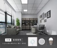 鸿雁王米成：打造全屋智能生态系统，从产品和用户入手