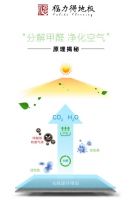 福力得地板丨美丽是目的，健康才是真谛