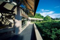 设计师倪迪：行走在“山”“水”之间