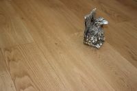 新国色，耀出色，红利地板带你潮玩年轻美学