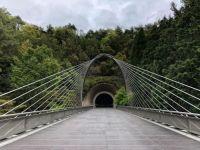 设计师黄志勋：感悟日式设计，与自然共生共长