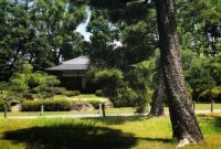 设计师黄志勋：感悟日式设计，与自然共生共长