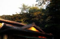 设计师黄志勋：感悟日式设计，与自然共生共长