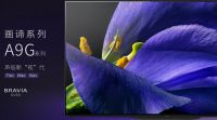 以实力引领未来新格局 索尼A9G电视荣膺2019十佳电视大奖