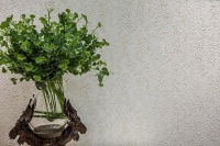 兰舍硅藻泥丨你骄傲的样子真美