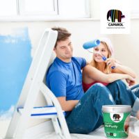 当善变的双子座遇上德爱威涂料故事是这样的