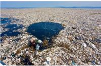 天然蚕丝：你的城市开始垃圾分类了吗？