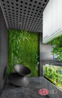 袁珂新作 | 变形记