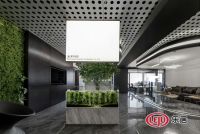 袁珂新作 | 变形记