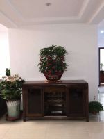 尚欧国际家居这套乌金木经典新中式可千万别错过！