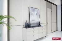 近者悦远者来 TATA木门首推同创经营模式拥抱更多志同道合者