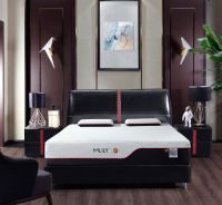 “黑马”到“千里马”的成长之路，梦百合布局千店计划