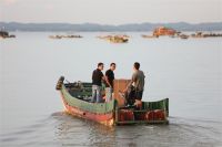 小镇也能飞出零售超人 零售云如何创造基因升级？