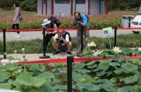 大道无名长养万物，安信地板用原木的生发之气润养你家