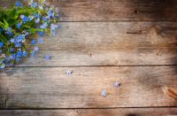 大道无名长养万物，安信地板用原木的生发之气润养你家