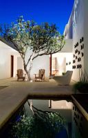 家中庭院适合种什么树？有些树还真不能乱栽！