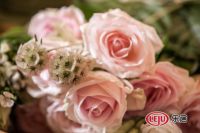 Harbor House艺术沙龙第24期：七月浪漫花语----为爱告白