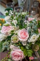 Harbor House艺术沙龙第24期：七月浪漫花语----为爱告白