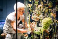 花卉盛宴今日璀璨开幕 第二十届昆明花展绽放春城