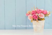 这一份赏花指南，请您收好