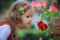 这一份赏花指南，请您收好