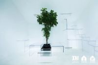 未来生活方式展丨坐上时光机器  他们带你穿越到未来